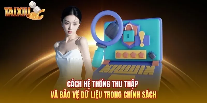 Cách hệ thống thu thập và bảo vệ dữ liệu trong chính sách