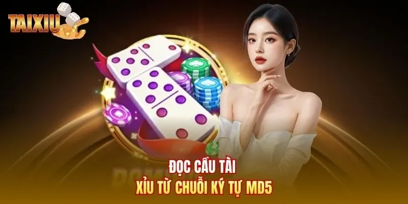 Đọc cầu tài xỉu từ chuỗi ký tự  MD5