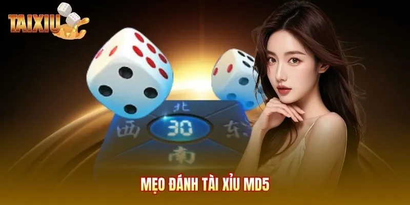 Mẹo đánh tài xỉu MD5